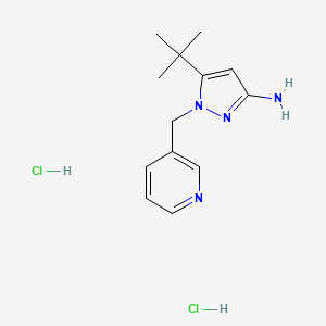 molecular formula C13H20Cl2N4 B1448503 5-tert-butyl-1-(pyridin-3-ylmethyl)-1H-pyrazol-3-amine dihydrochloride CAS No. 1803566-56-4