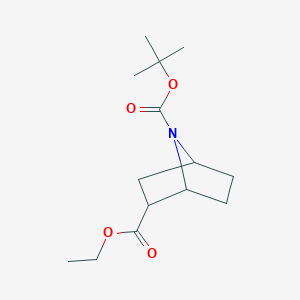molecular formula C14H23NO4 B1448510 7-Tert-butyl 2-ethyl 7-azabicyclo[2.2.1]heptane-2,7-dicarboxylate CAS No. 1461706-87-5