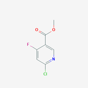 molecular formula C7H5ClFNO2 B1448551 Methyl 6-chloro-4-fluoropyridine-3-carboxylate CAS No. 1256811-66-1
