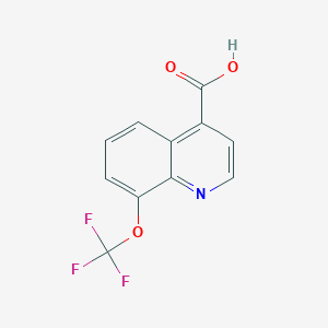 molecular formula C11H6F3NO3 B1448563 8-(Trifluoromethoxy)quinoline-4-carboxylic acid CAS No. 1973158-97-2