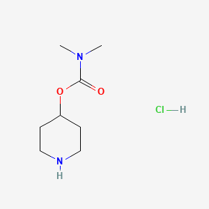 molecular formula C8H17ClN2O2 B1448612 piperidin-4-yl N,N-dimethylcarbamate hydrochloride CAS No. 1803609-75-7