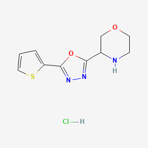 molecular formula C10H12ClN3O2S B1448646 3-[5-(噻吩-2-基)-1,3,4-噁二唑-2-基]吗啉盐酸盐 CAS No. 1803604-03-6