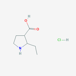 molecular formula C7H14ClNO2 B1448699 2-Ethylpyrrolidine-3-carboxylic acid hydrochloride CAS No. 1803595-54-1