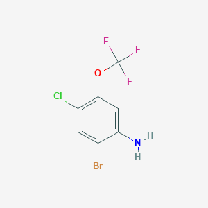 molecular formula C7H4BrClF3NO B1448700 2-Bromo-4-chloro-5-(trifluoromethoxy)aniline CAS No. 1805213-02-8