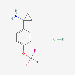molecular formula C10H11ClF3NO B1448703 1-[4-(三氟甲氧基)苯基]环丙-1-胺盐酸盐 CAS No. 1820734-61-9