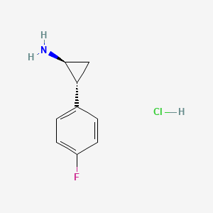 molecular formula C9H11ClFN B1448795 (1S,2R)-2-(4-Fluorophenyl)cyclopropanamine Hydrochloride CAS No. 1990505-73-1