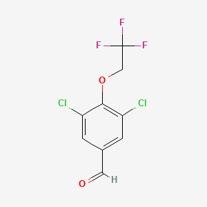 molecular formula C9H5Cl2F3O2 B1448796 3,5-Dichloro-4-(2,2,2-trifluoro-ethoxy)-benzaldehyde CAS No. 2166727-47-3