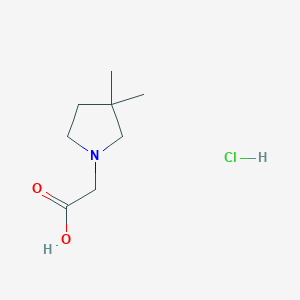 molecular formula C8H16ClNO2 B1448820 2-(3,3-Dimethylpyrrolidin-1-yl)acetic acid hydrochloride CAS No. 1803584-82-8