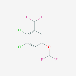molecular formula C8H4Cl2F4O B1448882 2,3-Dichloro-5-(difluoromethoxy)benzodifluoride CAS No. 1806349-01-8