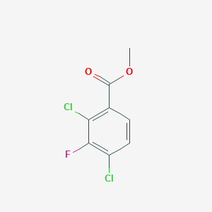 molecular formula C8H5Cl2FO2 B1448911 Methyl 2,4-dichloro-3-fluorobenzoate CAS No. 1804514-49-5