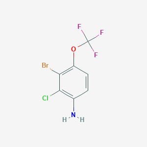 molecular formula C7H4BrClF3NO B1448934 3-Bromo-2-chloro-4-(trifluoromethoxy)aniline CAS No. 1805410-51-8