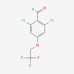 molecular formula C9H5Cl2F3O2 B1448943 2,6-Dichloro-4-(2,2,2-trifluoroethoxy)-benzaldehyde CAS No. 2167058-87-7