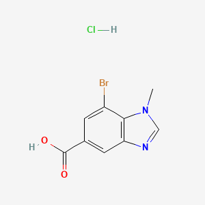 B1449104 7-Bromo-1-methyl-1,3-benzodiazole-5-carboxylic acid HCl CAS No. 1420800-33-4