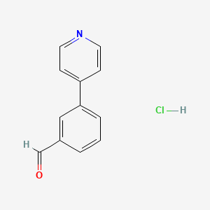 molecular formula C12H10ClNO B1449133 3-(Pyridin-4-yl)benzaldehyde hydrochloride CAS No. 1352442-98-8