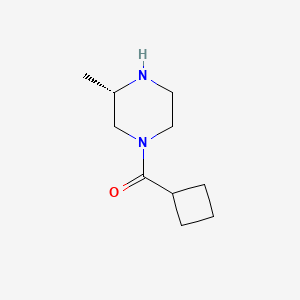 molecular formula C10H18N2O B1449178 (3S)-1-cyclobutanecarbonyl-3-methylpiperazine CAS No. 1568000-09-8