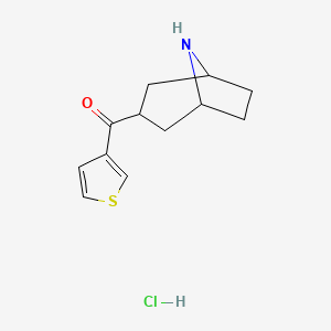 B1449297 (8-Azabicyclo[3.2.1]octan-3-yl)(thiophen-3-yl)methanone hydrochloride CAS No. 1822827-99-5