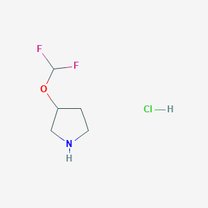molecular formula C5H10ClF2NO B1449694 3-(二氟甲氧基)吡咯烷盐酸盐 CAS No. 1638772-00-5