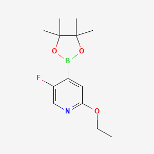 molecular formula C13H19BFNO3 B1450076 5-Fluoro-2-(ethoxy)-pyridine-4-boronic acid pinacol ester CAS No. 2121513-50-4