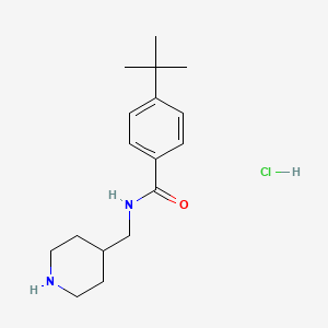 molecular formula C17H27ClN2O B1450264 4-tert-butyl-N-(piperidin-4-ylmethyl)benzamide hydrochloride CAS No. 1589446-11-6