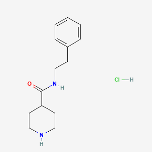 molecular formula C14H21ClN2O B1450268 N-(2-苯乙基)-4-哌啶甲酰胺盐酸盐 CAS No. 1580449-72-4