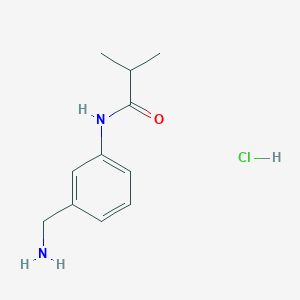 molecular formula C11H17ClN2O B1450278 N-[3-(氨甲基)苯基]-2-甲基丙酰胺盐酸盐 CAS No. 1803605-35-7