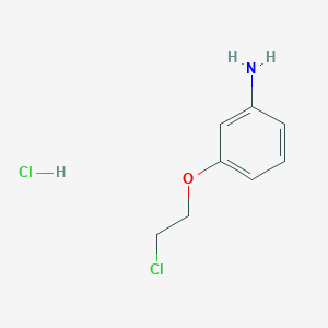 molecular formula C8H11Cl2NO B1450285 [3-(2-氯乙氧基)苯基]胺盐酸盐 CAS No. 1609407-46-6