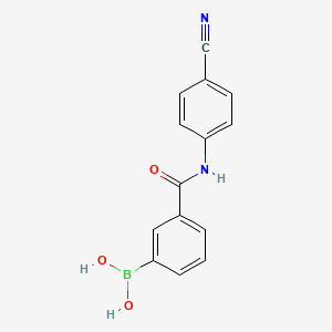 molecular formula C14H11BN2O3 B1450883 3-(4-Cyanophenyl)aminocarbonylphenylboronic acid CAS No. 850567-36-1