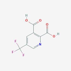molecular formula C8H4F3NO4 B1450997 5-(三氟甲基)吡啶-2,3-二羧酸 CAS No. 1202634-08-9