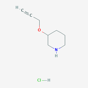 molecular formula C8H14ClNO B1451033 3-(2-炔丙氧基)哌啶盐酸盐 CAS No. 1185301-44-3