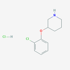 molecular formula C11H15Cl2NO B1451034 3-(2-氯苯氧基)哌啶盐酸盐 CAS No. 1185297-88-4