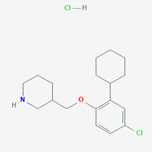 molecular formula C18H27Cl2NO B1451063 3-[(4-Chloro-2-cyclohexylphenoxy)methyl]piperidine hydrochloride CAS No. 1185301-07-8
