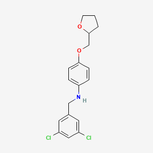 molecular formula C18H19Cl2NO2 B1451080 N-(3,5-Dichlorobenzyl)-4-(tetrahydro-2-furanylmethoxy)aniline CAS No. 1040690-66-1