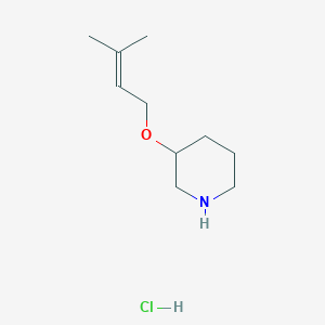 B1451092 3-[(3-Methyl-2-butenyl)oxy]piperidine hydrochloride CAS No. 1185304-17-9