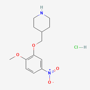 molecular formula C13H19ClN2O4 B1451103 2-甲氧基-5-硝基苯基 4-哌啶基甲基醚盐酸盐 CAS No. 1185297-80-6