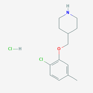 molecular formula C13H19Cl2NO B1451361 2-Chloro-5-methylphenyl 4-piperidinylmethyl ether hydrochloride CAS No. 1185294-10-3