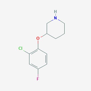 molecular formula C11H13ClFNO B1451433 3-(2-Chloro-4-fluorophenoxy)piperidine CAS No. 946680-99-5