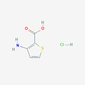 3-Aminothiophene-2-carboxylic acid hydrochloride