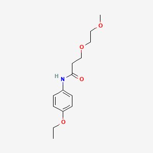 N-(4-Ethoxyphenyl)-3-(2-methoxyethoxy)propanamide