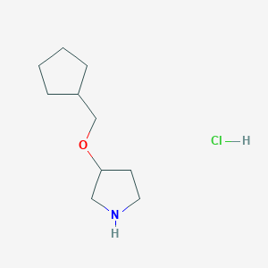 molecular formula C10H20ClNO B1451472 3-(环戊基甲氧基)吡咯烷盐酸盐 CAS No. 1185297-82-8