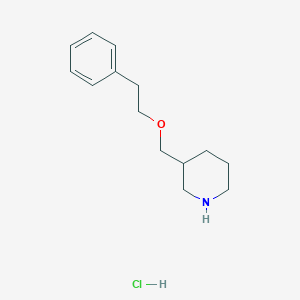 molecular formula C14H22ClNO B1451506 3-[(Phenethyloxy)methyl]piperidine hydrochloride CAS No. 1093653-12-3