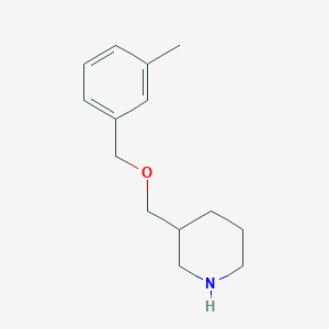 molecular formula C14H21NO B1451542 3-{[(3-Methylbenzyl)oxy]methyl}piperidine CAS No. 946743-91-5