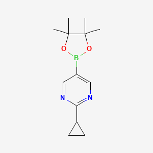 molecular formula C13H19BN2O2 B1451584 2-Cyclopropyl-5-(4,4,5,5-tetramethyl-1,3,2-dioxaborolan-2-yl)pyrimidine CAS No. 1375301-91-9