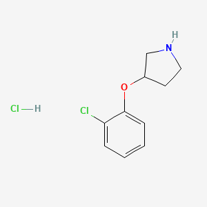 molecular formula C10H13Cl2NO B1451585 3-(2-Chlorophenoxy)pyrrolidine hydrochloride CAS No. 1185298-15-0