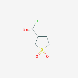 molecular formula C5H7ClO3S B1451608 1,1-Dioxothiolane-3-carbonyl chloride CAS No. 89463-78-5
