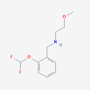 B1451635 {[2-(Difluoromethoxy)phenyl]methyl}(2-methoxyethyl)amine CAS No. 1019604-63-7