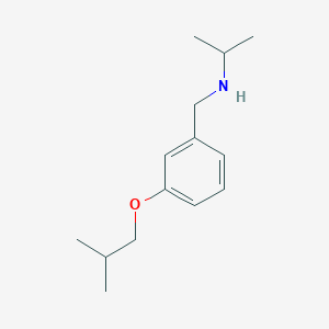 molecular formula C14H23NO B1451640 N-(3-异丁氧基苄基)-2-丙胺 CAS No. 1040683-53-1