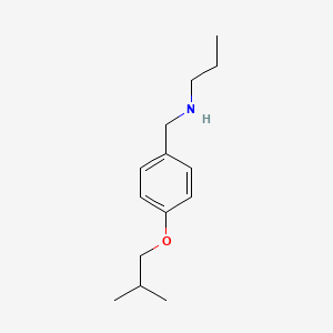 B1451645 N-(4-Isobutoxybenzyl)-1-propanamine CAS No. 1040685-10-6