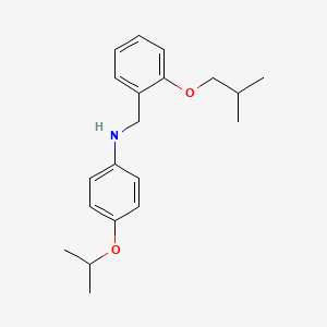 molecular formula C20H27NO2 B1451646 N-(2-异丁氧基苄基)-4-异丙氧基苯胺 CAS No. 1040692-62-3