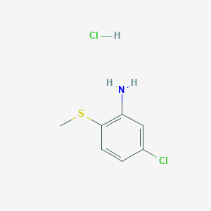molecular formula C7H9Cl2NS B1452096 5-Chloro-2-(methylsulfanyl)aniline hydrochloride CAS No. 1209208-42-3