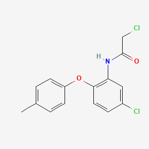 molecular formula C15H13Cl2NO2 B1452134 2-chloro-N-[5-chloro-2-(4-methylphenoxy)phenyl]acetamide CAS No. 1110909-11-9